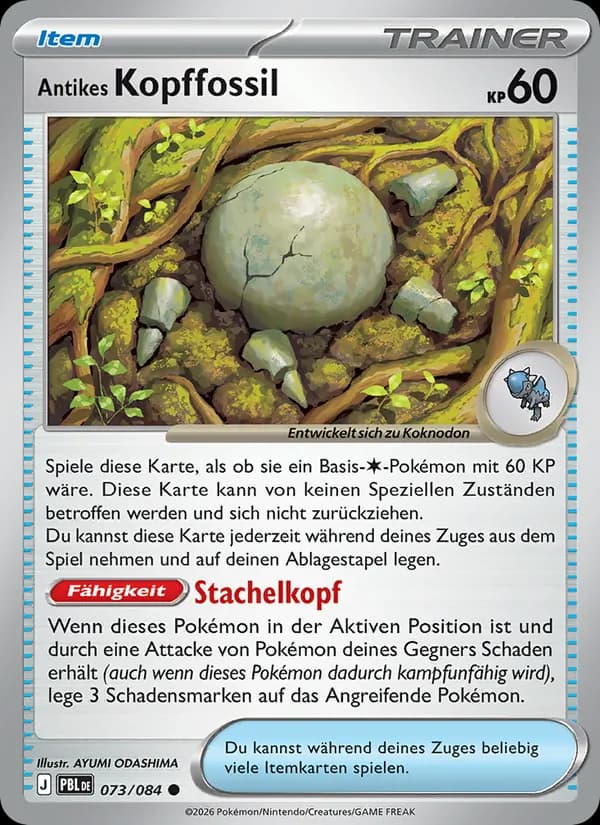 Antikes Kopffossil - PBL 073