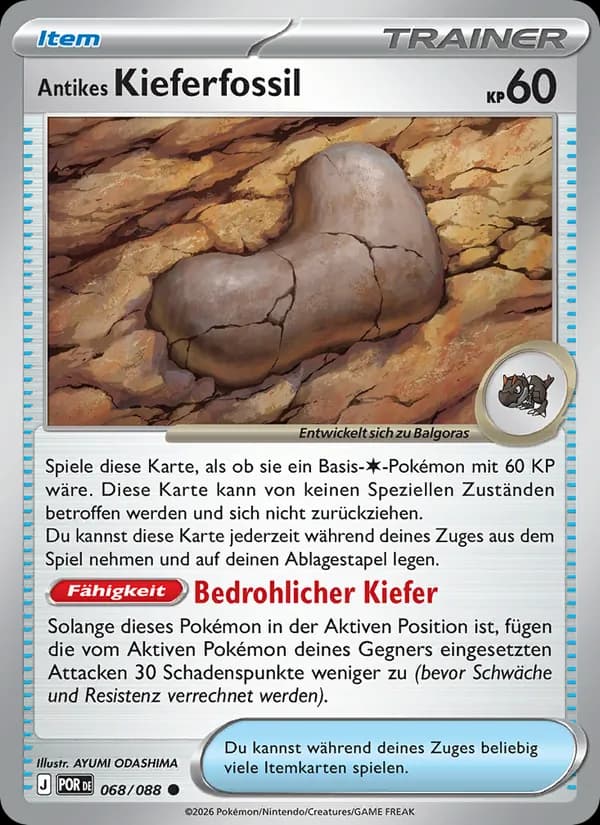 Antikes Kieferfossil - POR 068